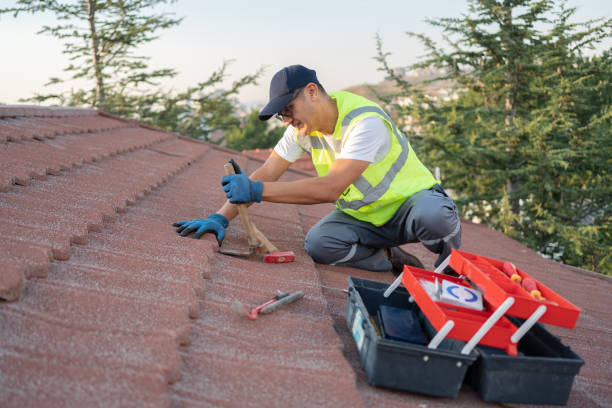 Best Roof Inspection Near Me  in Dupont, WA